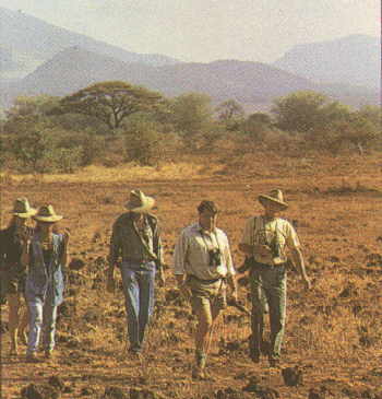 Guided walking safaris in Amboseli