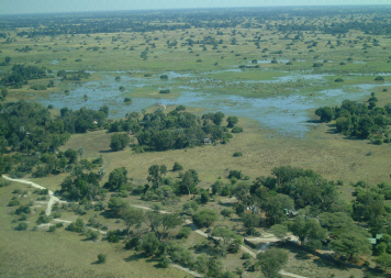 Little Mombo courtesy Wilderness Safaris