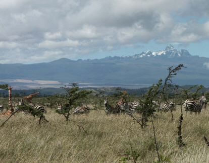 Mt. Kenya from Borana Lodge, Laikipia