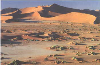 Dunes at Sossusvlei