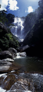 Sanjay Falls in Udzungwa National Park