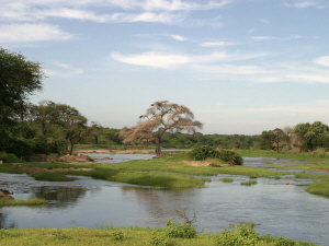 Ruaha National Park