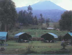 Volcanoes Mobile Tented Camp