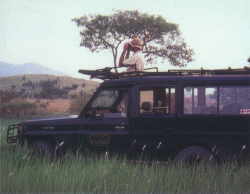On Safari
